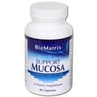 Support Mucosa
