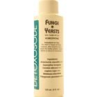 Fungi & Yeast