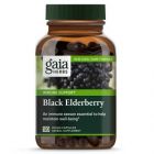 Black Elderberry GAIA